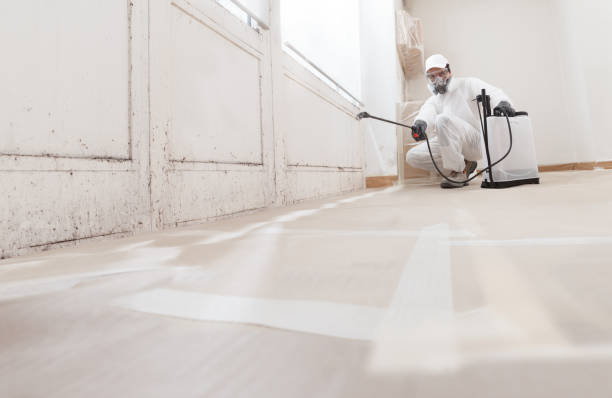 24/7 Emergency Mold Removal experts in Waverly, VA